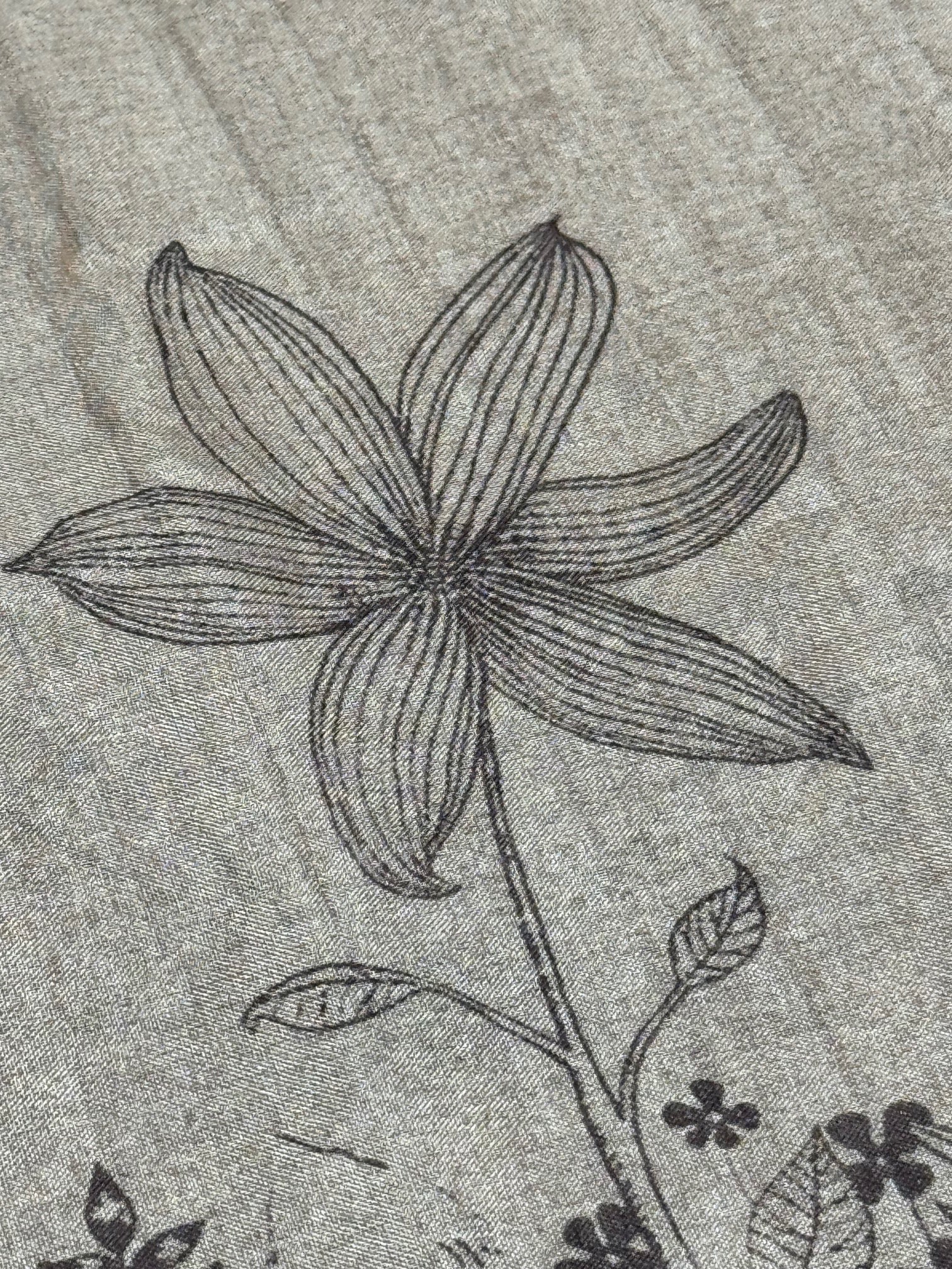 Vanilla Cream Fancy Plain Flower Design Saree - Image 9